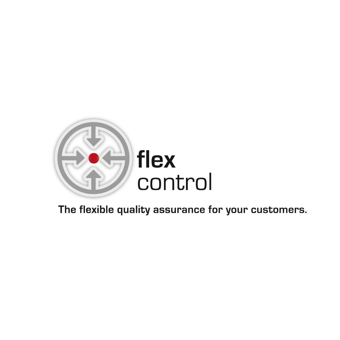 Logo Flex Control